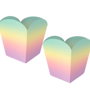 Cachepot Ombré Arco íris - 04 Unidades